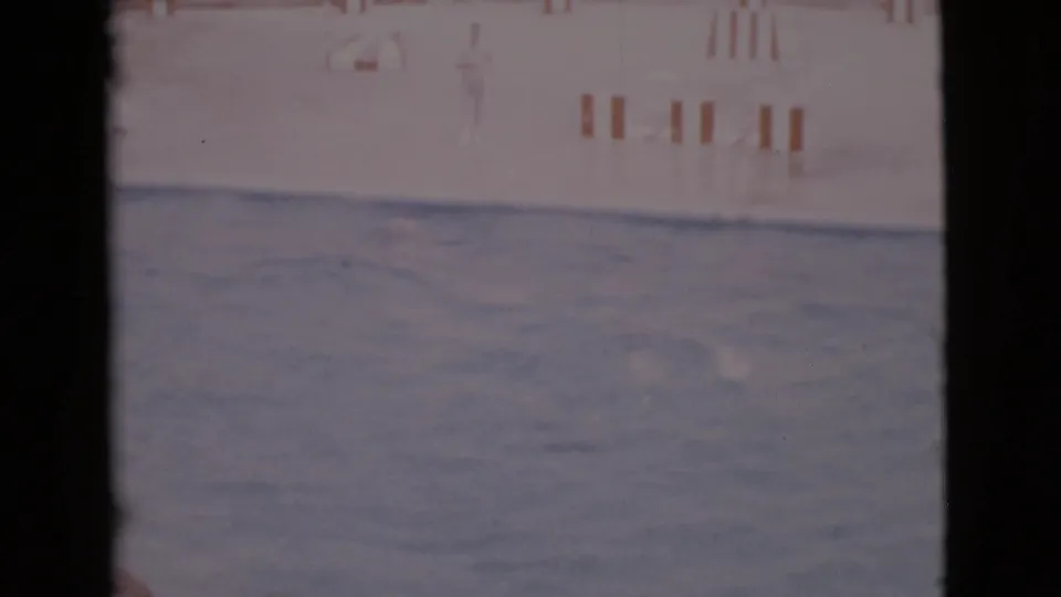 Soft 8mm frame from the San Diego marine show with a distant seal form in the pool and striped markings along the wall.