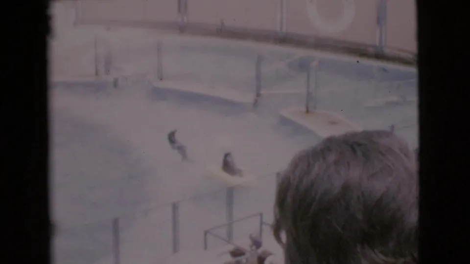 San Diego 1968 home-movie frame showing seals near a pool deck, a life preserver on the wall, railings, and a spectator in front.