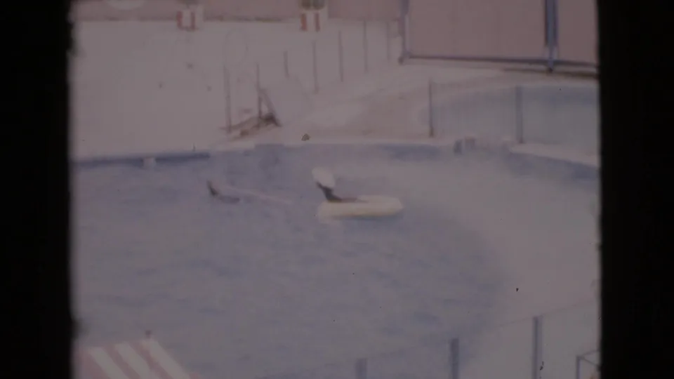 1968 San Diego home-movie still showing two seals in a pool, one near a yellow float, with railings and deck in the background.