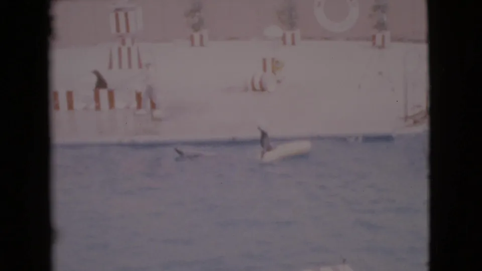 1968 San Diego County frame of seals in a marine park pool, with deck railings and a life ring visible behind them.