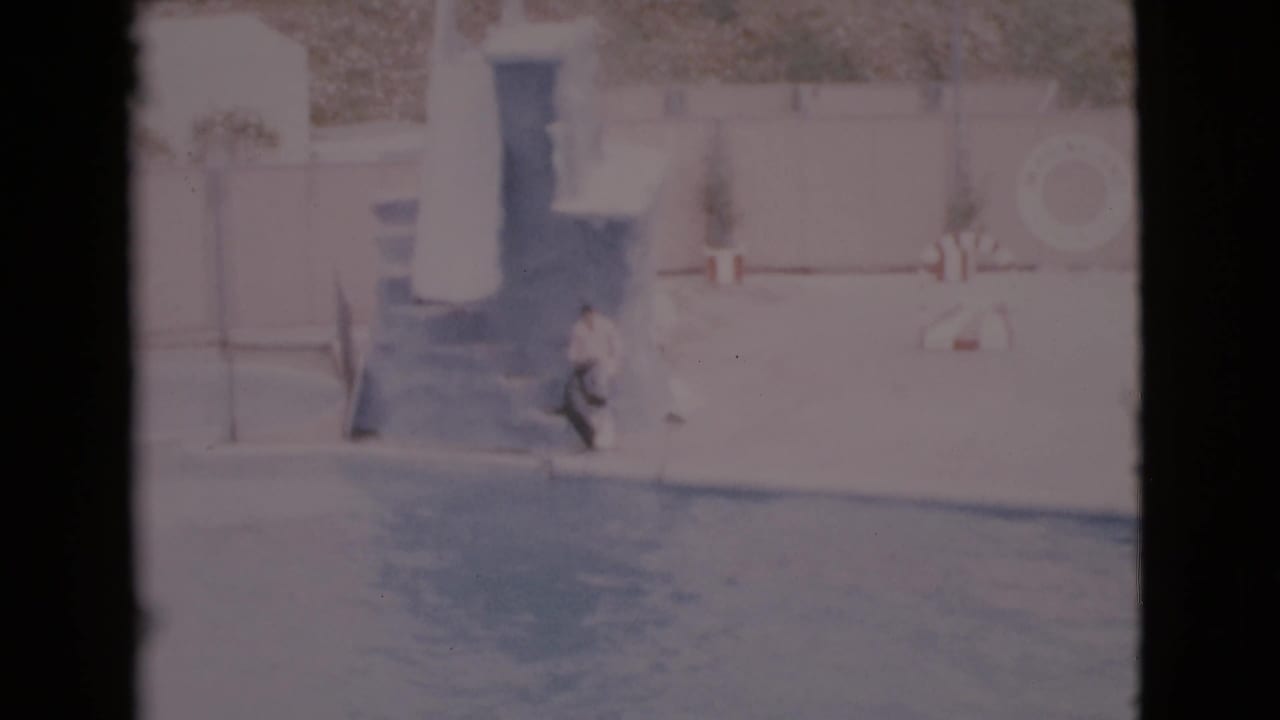 Seal near the pool edge below a platform while a trainer stands nearby.
