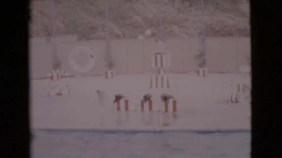 1968 San Diego County marine-show frame with three sea lions on striped stands, seen through soft, grainy 8mm color footage.