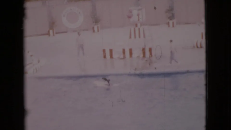 1968 San Diego County home-movie frame showing a pale indoor pool, a small swimmer, adults on deck, striped barriers, and a life ring.