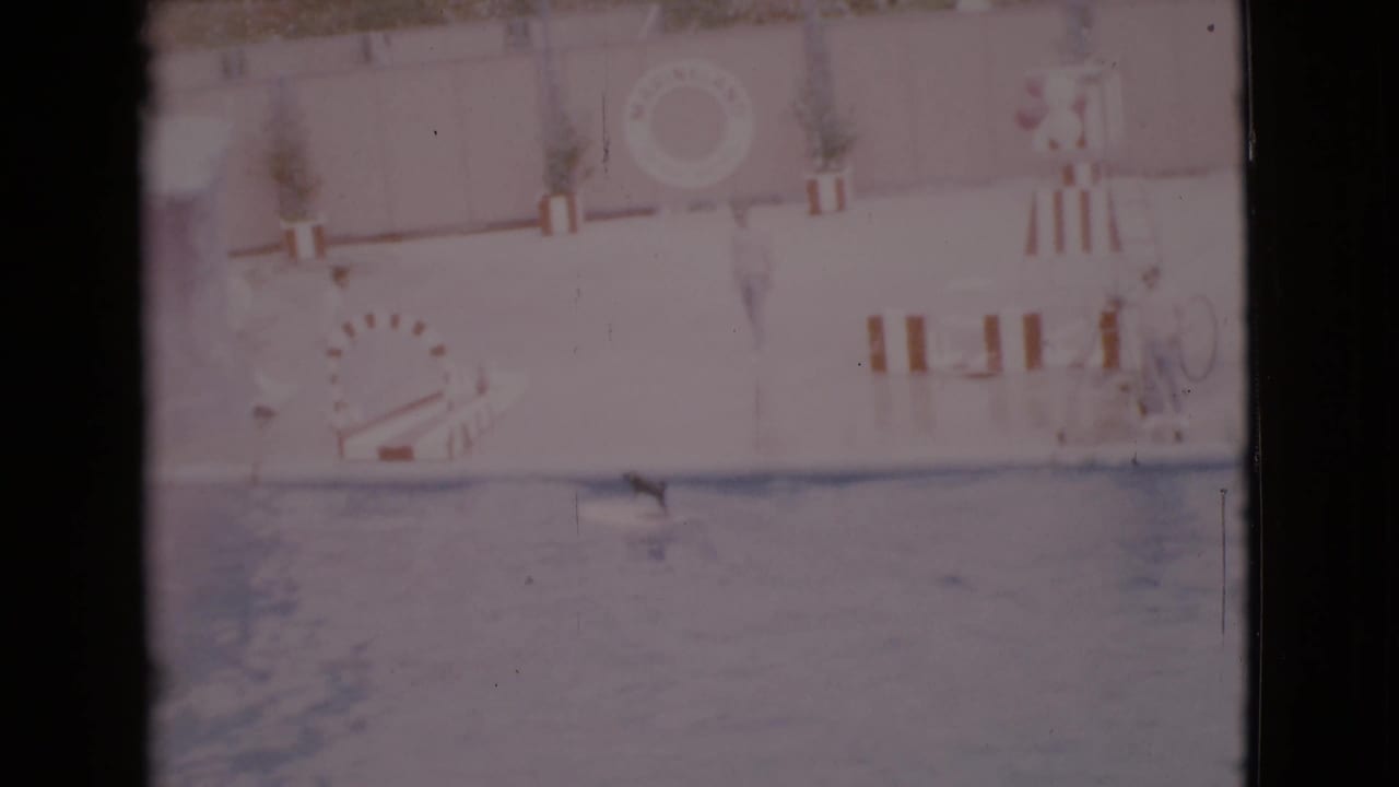 Indoor pool scene with swimmer in water, adults on deck, and striped markings near a life ring.