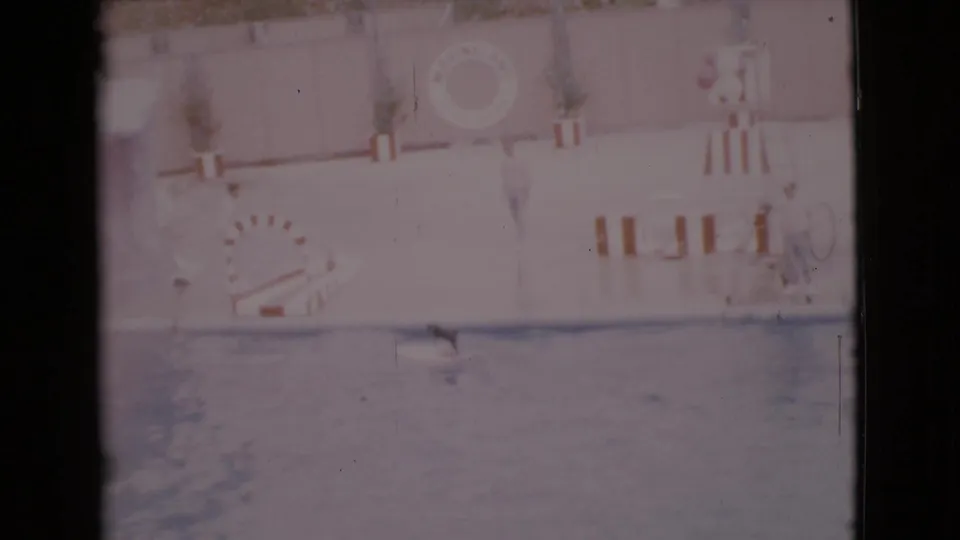 Faded 1968 home-movie frame from San Diego County showing a swimmer below deckside adults, striped barriers, and a wall-mounted life ring.