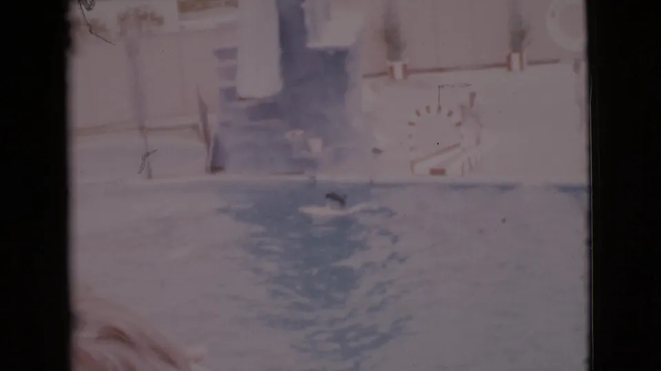 1968 San Diego County home-movie still of rippled indoor pool water, a swimmer near the edge, adults on deck, and visible film wear.
