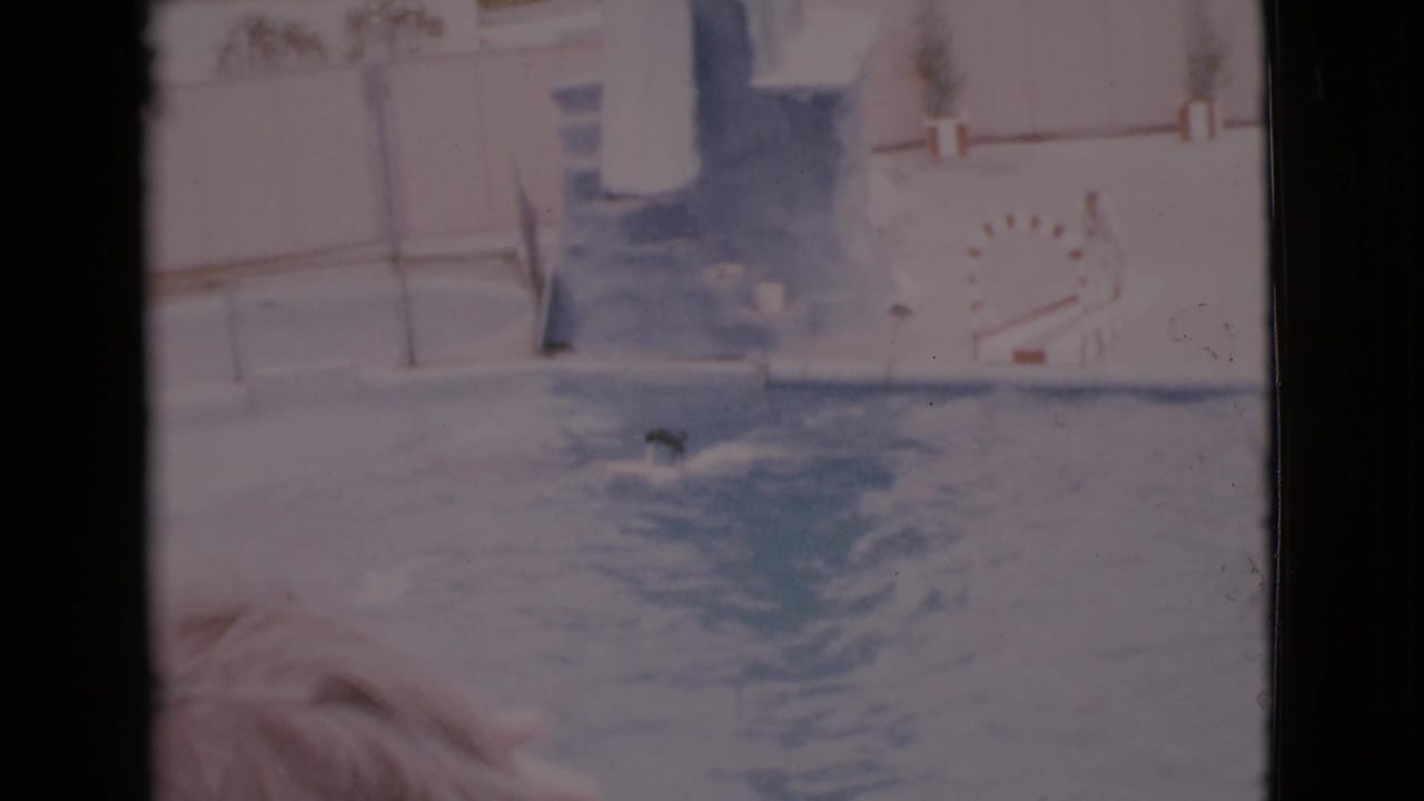 Blond hair in the foreground faces rippled water with a small dark figure near the surface.