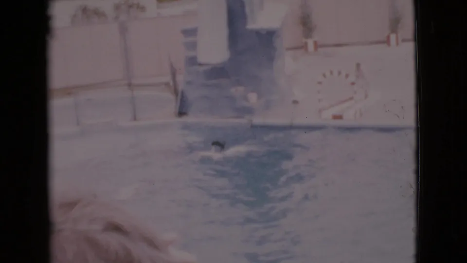 1968 San Diego County 8mm frame showing a blond-haired person watching rippled water with a small dark figure near the surface.