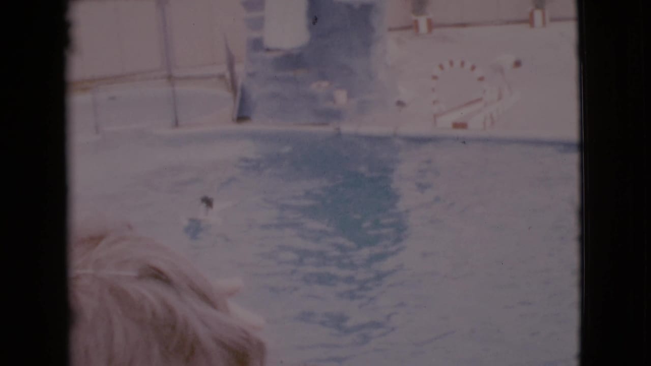 A blond-haired foreground figure looks toward water where a dark shape moves near the center.