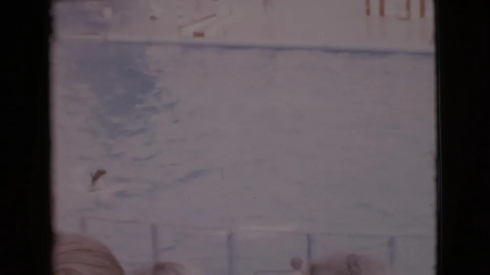 1968 San Diego County 8mm frame showing a dog on a board in a performance pool, seen from a spectator viewpoint.