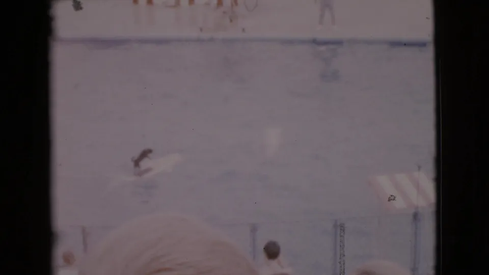 8mm frame of a dog riding a board through a performance pool, with foreground spectators and faded home-movie color.