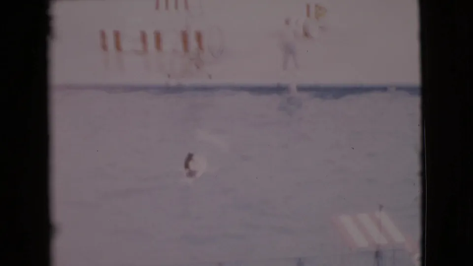 Final frame shows the performance pool area with a small figure or animal in the water, striped barriers, and spectators partly visible.