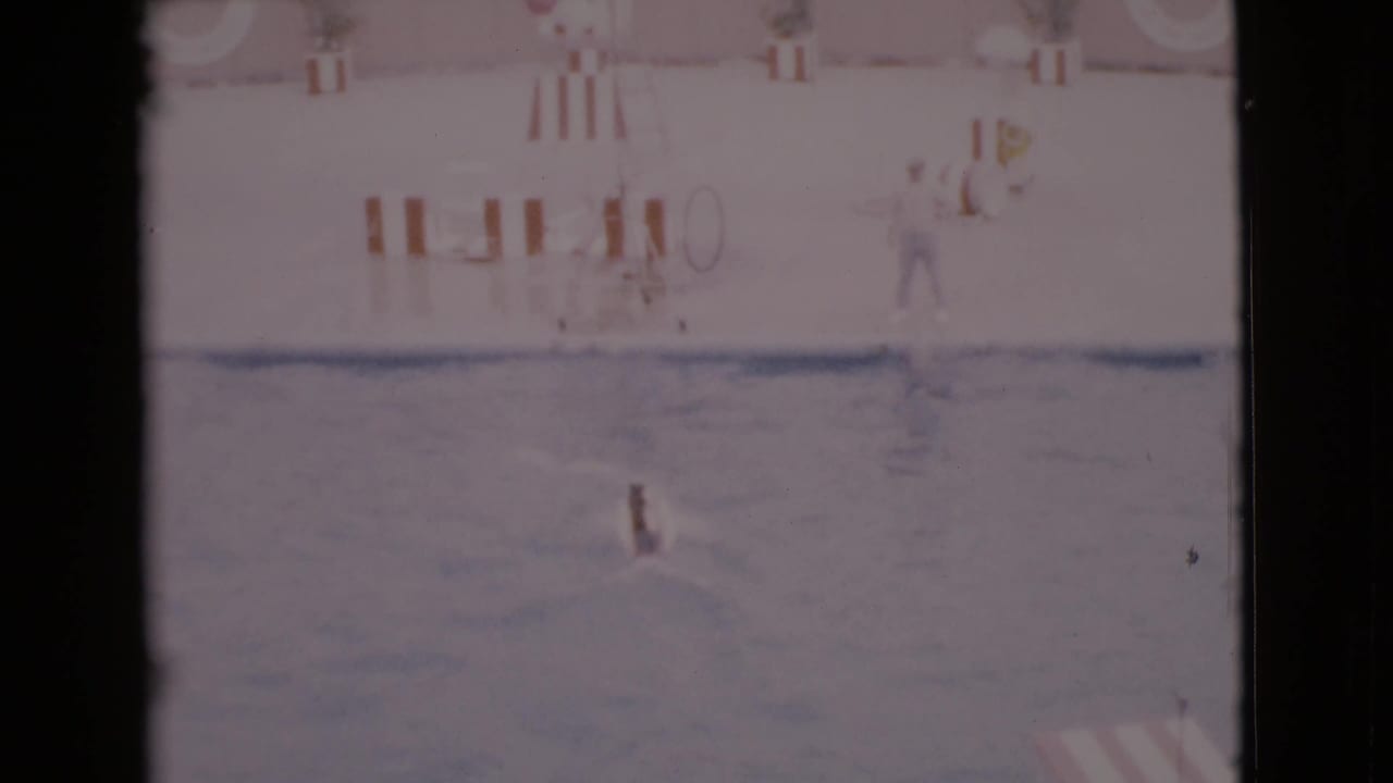 Dog in a pool near a deck with a hoop, striped barriers, and a person standing nearby.