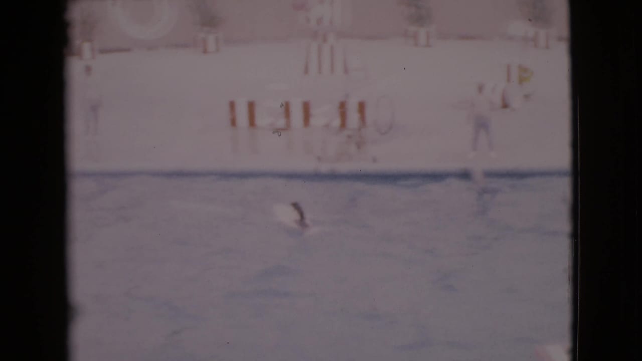 Faded 8mm frame of a dog swimming during a pool performance in San Diego County, with deck props and a supervising person visible.