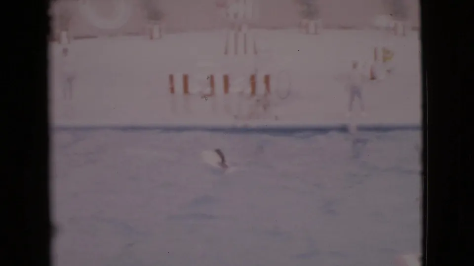 Faded 8mm frame of a dog swimming during a pool performance in San Diego County, with deck props and a supervising person visible.