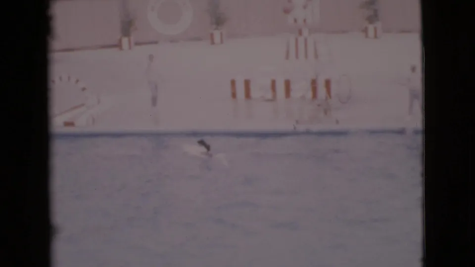 Home-movie frame showing the performing dog near a ramp-like pool obstacle, with 1960s poolside props and faded color.