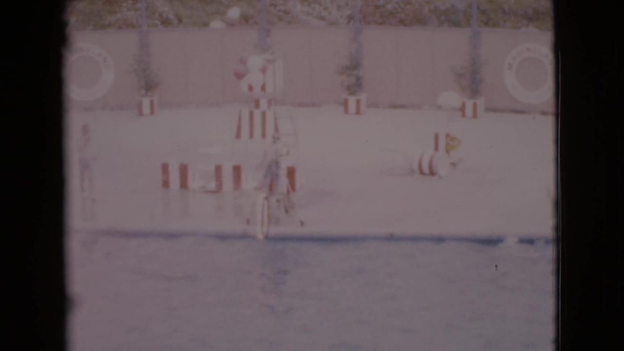 Dolphin pool with a trainer, hoops, striped barriers, and life rings on the deck.