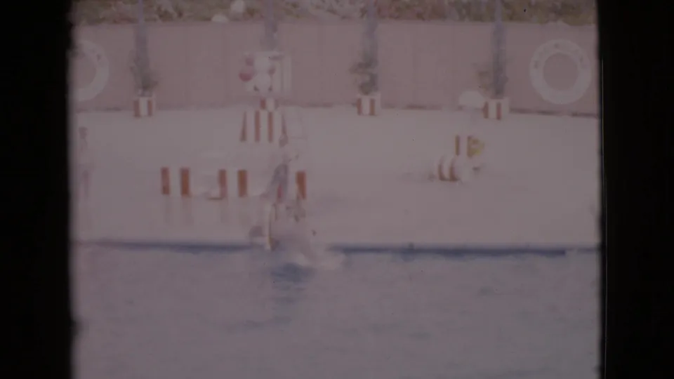 1968 home-movie frame of a dolphin breaking the pool surface near a trainer during an aquatic hoop routine.