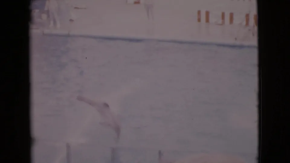 Pale 8mm frame from the San Diego County clip showing a dolphin mid-leap above the aquatic pool.