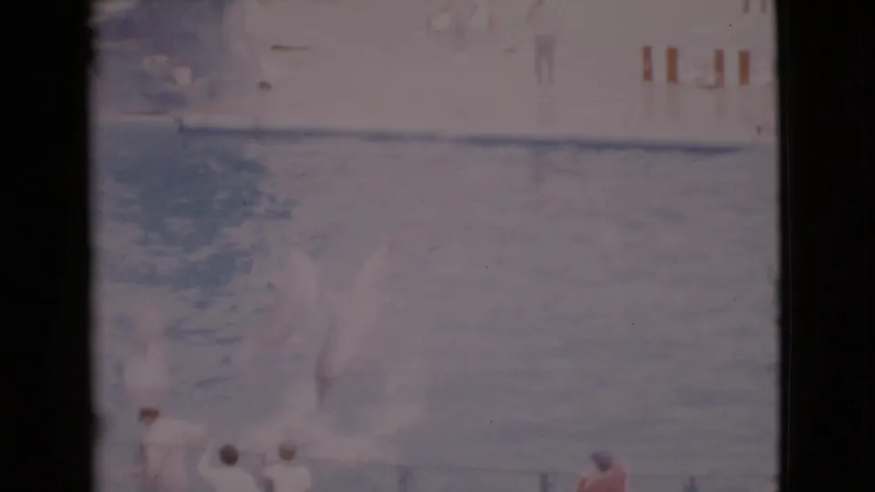 1968 San Diego County home-movie frame with a dolphin splash, pool fencing, and spectators including a child in red near the bottom edge.
