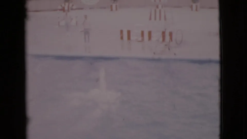 1968 San Diego County 8mm frame showing a dolphin surfacing in a marine-park pool with a distant person on the deck.