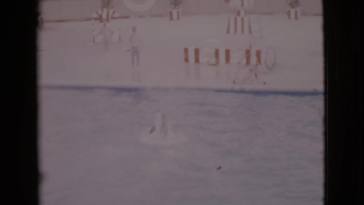 Dolphin in a pool near the far deck with a distant standing person.