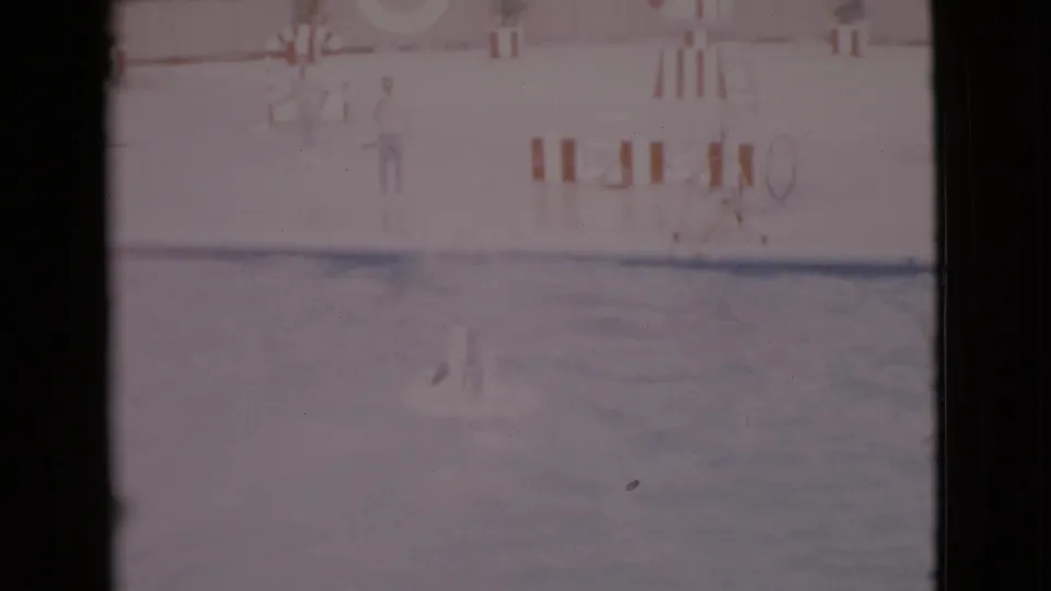 Soft 8mm view of a dolphin in a San Diego County marine-park pool, with a person standing on the opposite deck.