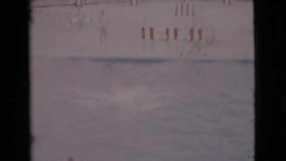 Grainy 8mm home-movie frame of a dolphin splashing in a San Diego County marine-park pool, with a distant person on deck.