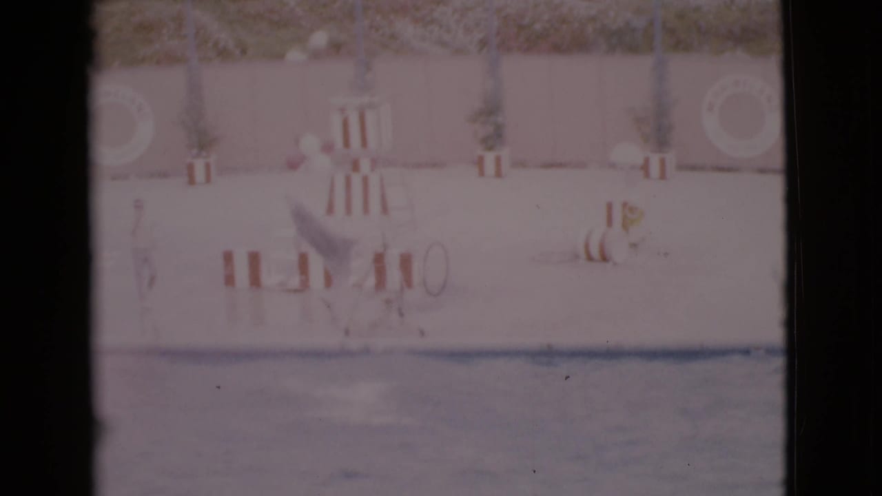 Aquarium pool deck with life rings, striped barriers and a small lifeguard chair.