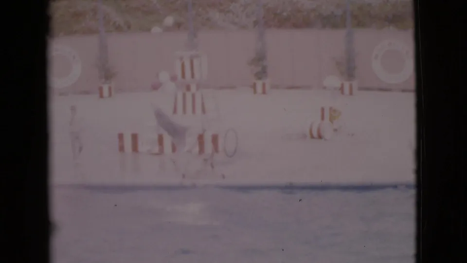 Faded 1968 San Diego County aquarium frame with life rings, striped barriers and a small chair beside the pool.
