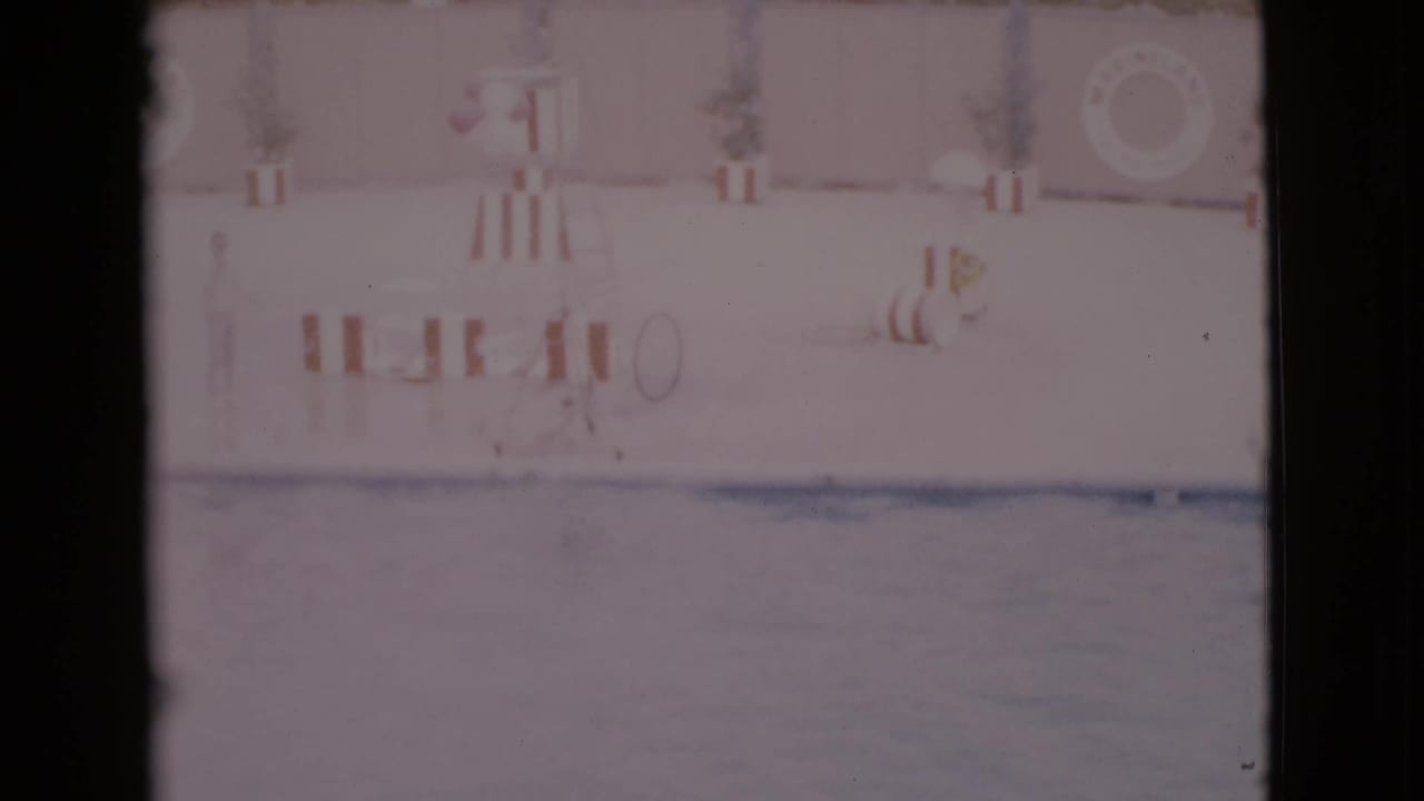 Poolside marine show area with striped barriers and a life preserver on the wall.