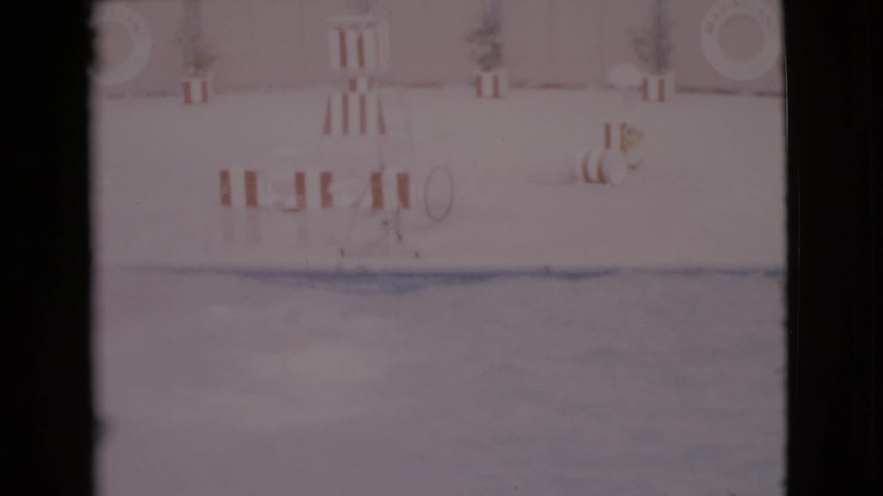 Faded pool scene with dolphins near the water and poolside barriers visible.