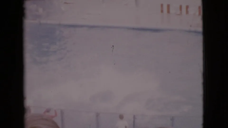 1968 San Diego County home-movie frame with dolphins arcing from the show pool while people stand along the poolside edge.