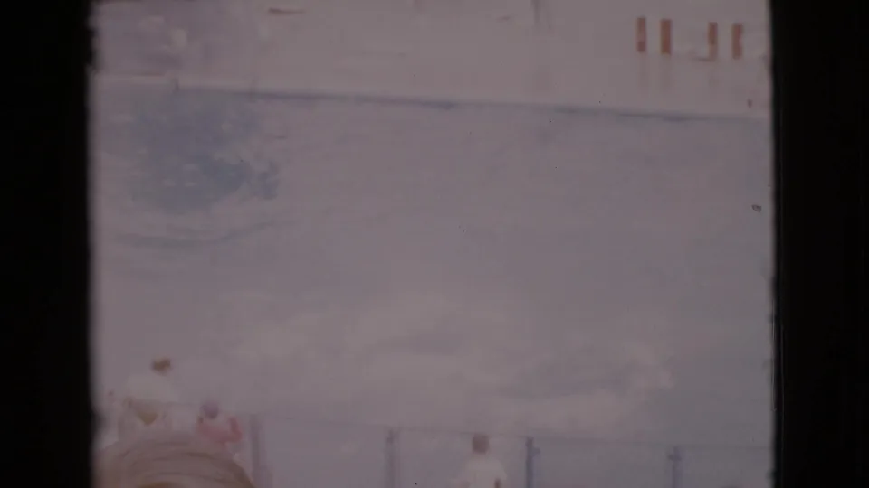 Faded 1968 8mm frame of a San Diego County dolphin show pool, with dolphins low in the water and people partly visible at the lower edge.