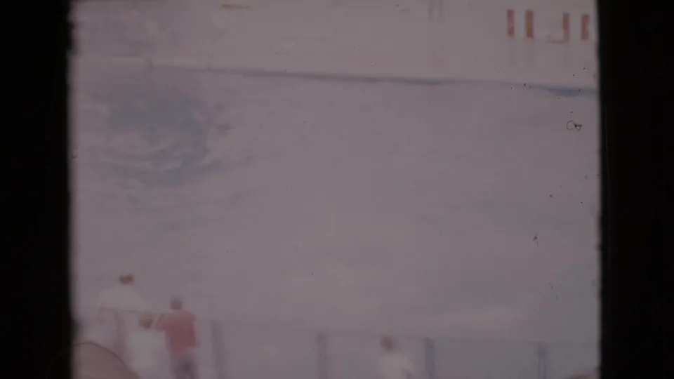 1968 San Diego County poolside view with dolphins near the surface, striped markings above, and faint spectators along the lower edge.