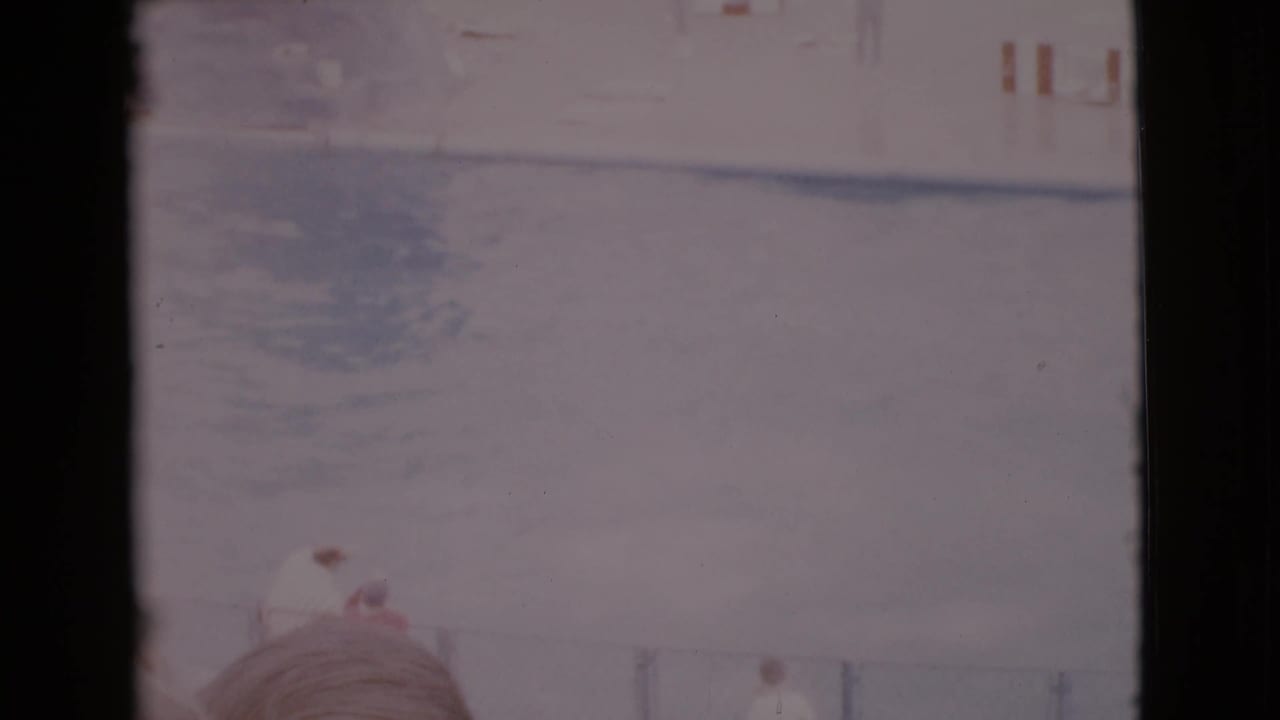 1968 San Diego County home-movie frame showing a dolphin performance pool with distant spectators and bleached 8mm color.