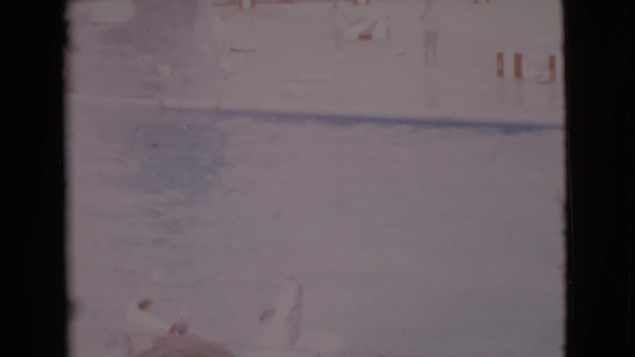 Dolphin show pool with a faint dolphin form and audience area in the distance.