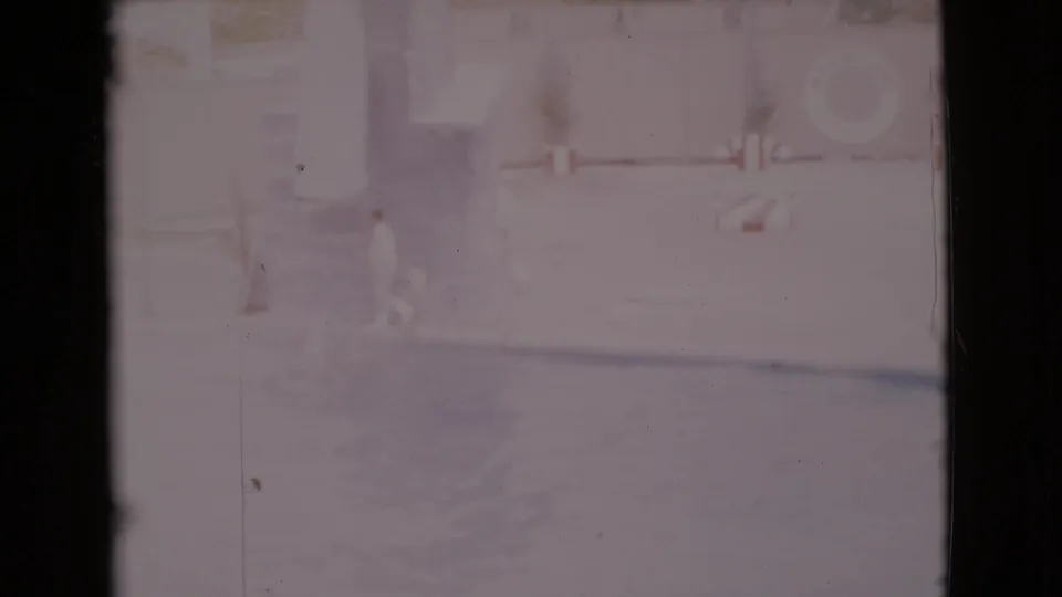1968 San Diego County 8mm frame of a person leaning toward dolphins in a bright marine facility pool.