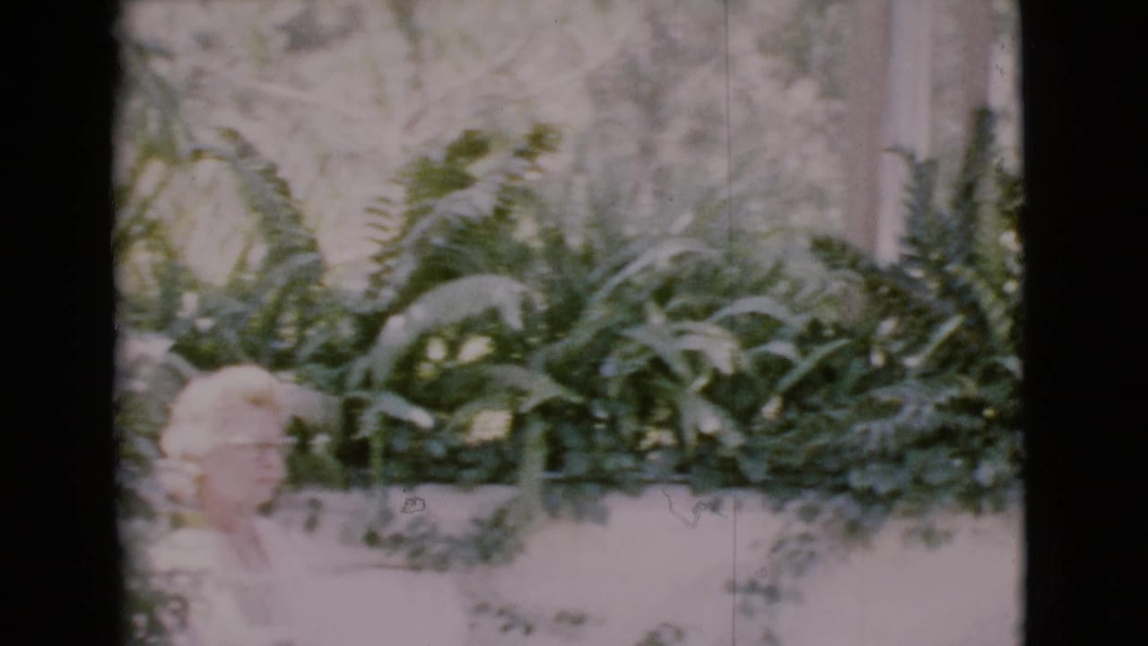 Woman in profile near ferns and leafy garden plants.