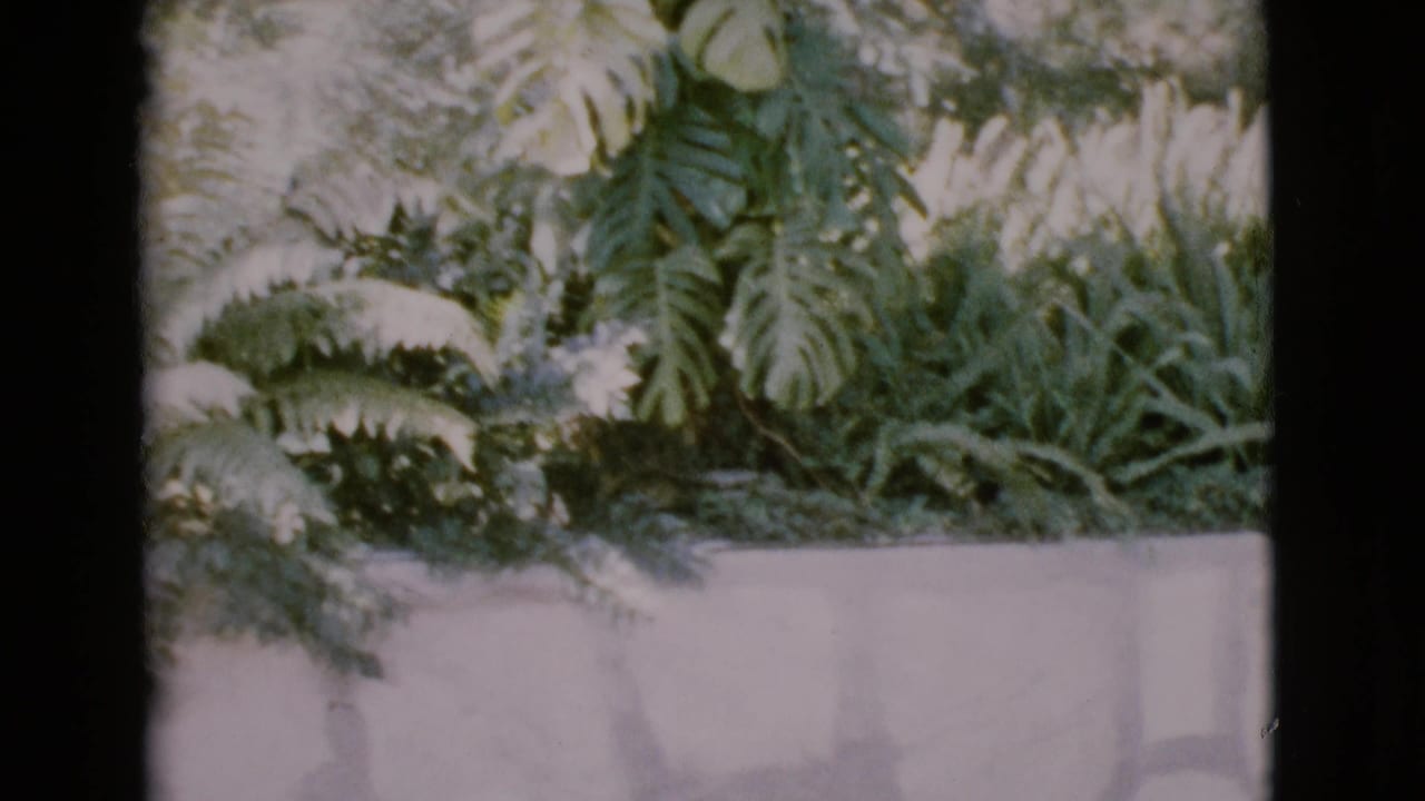 1968 San Diego County 8mm frame showing empty wooden church pews, a pale stone wall, and leafy indoor plants.