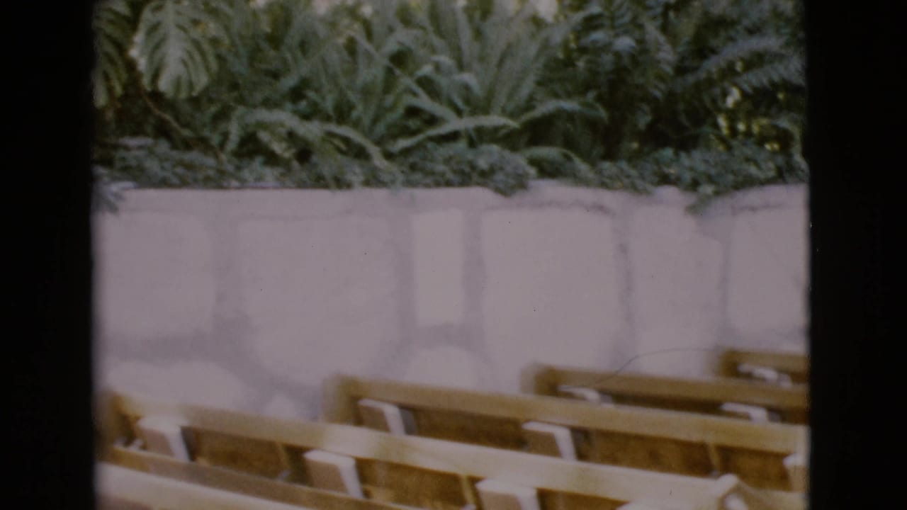 Rows of wooden pews beside a pale stone wall topped with green plants.