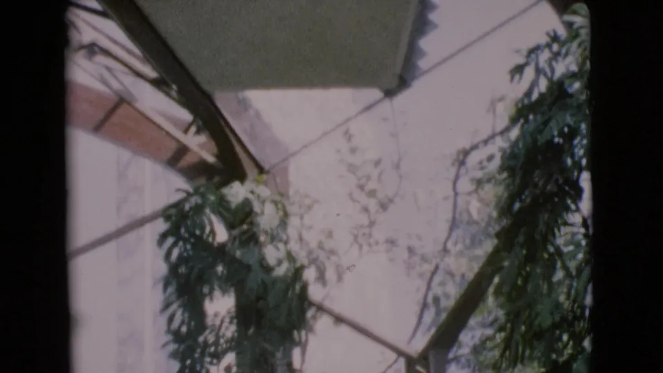 1968 San Diego County 8mm frame showing angular window glass, dark framing, bright daylight, hanging greenery, and pale flowers.