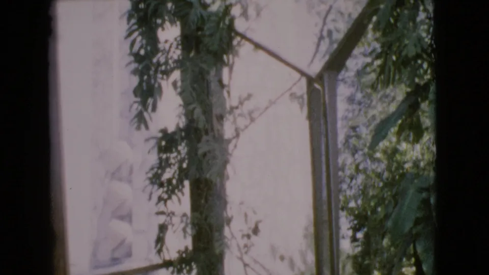 Bright 8mm view of a tall church wall in San Diego County with vines and foliage crossing the frame.