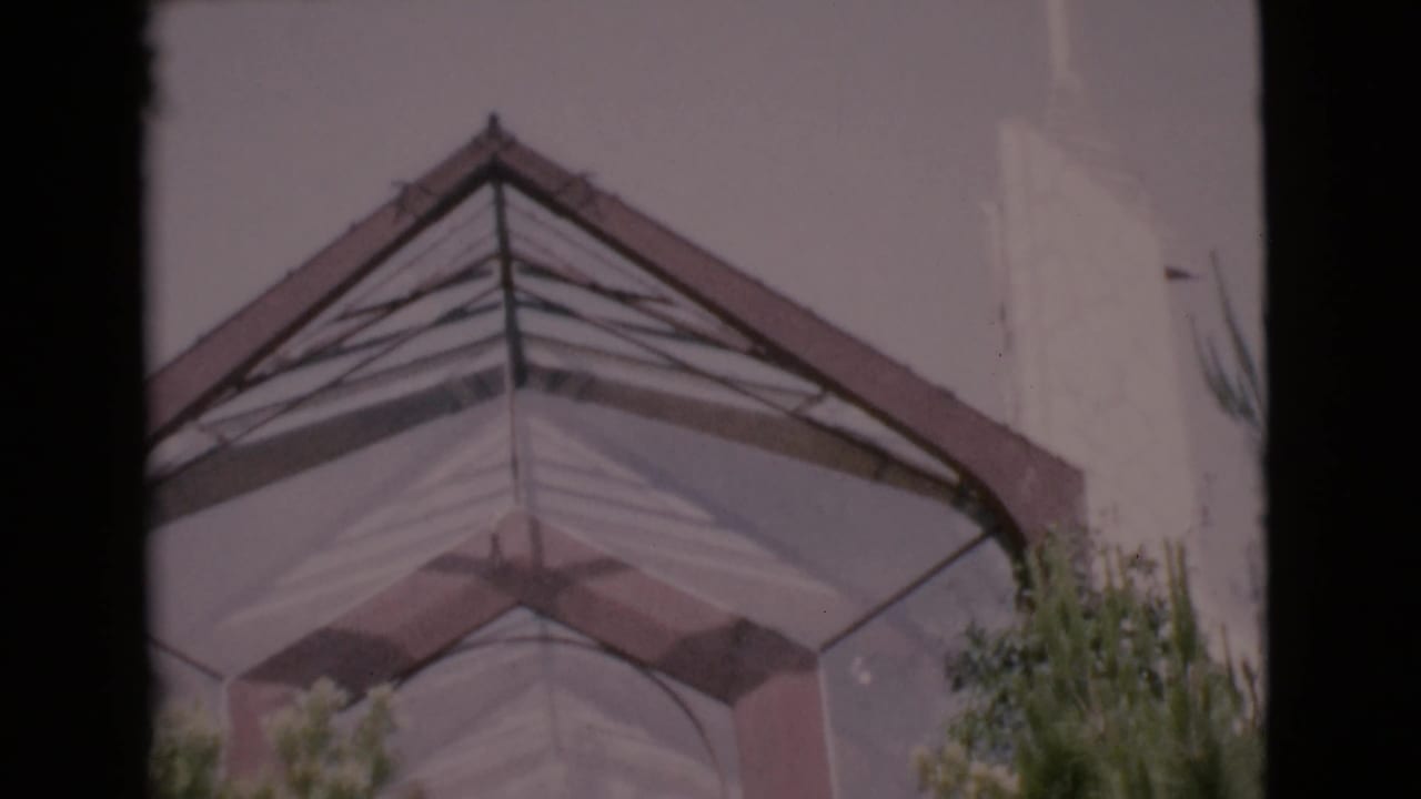 Geometric glass archway above trees and shrubs, seen from below in soft 8mm color.