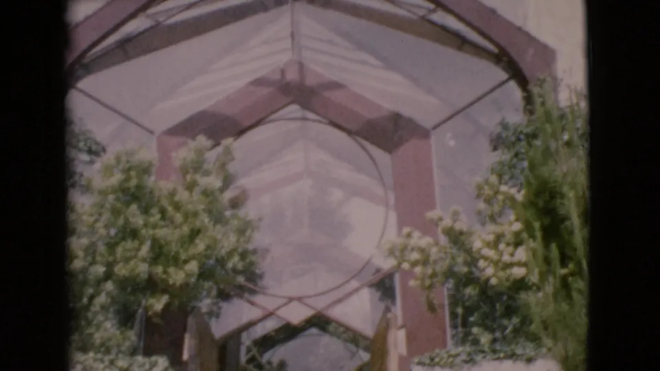 Soft 8mm frame of an angular modern entrance, with trees and landscaping partly covering the structure in San Diego County.