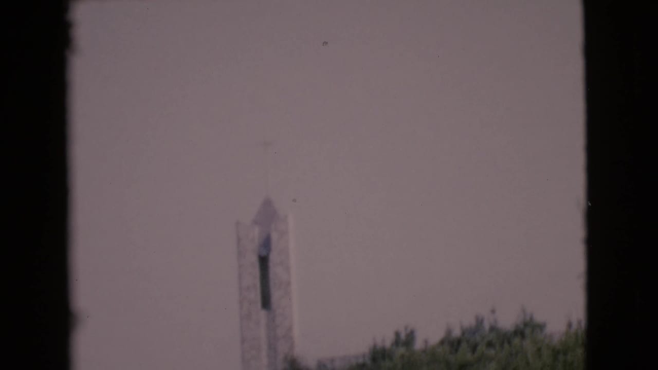 White steeple and cross-like top above a line of trees, seen through dark vertical edges.