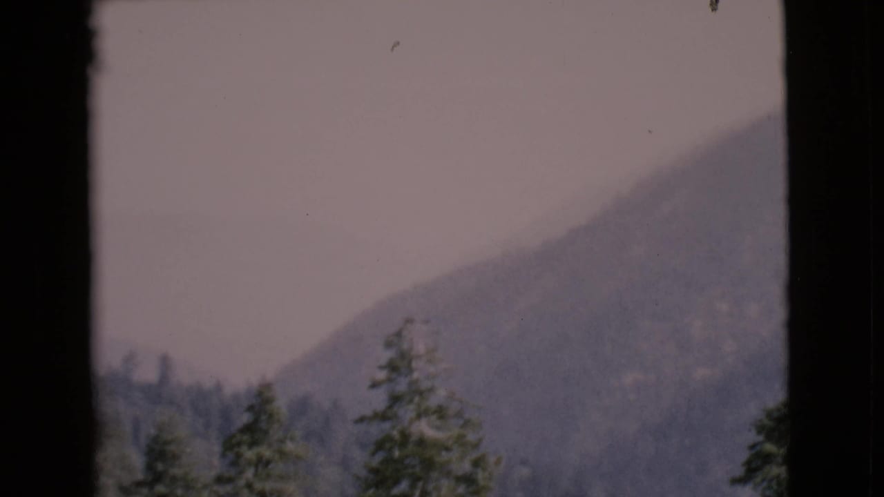 Misty mountain slope and evergreen trees seen through dark vertical framing.