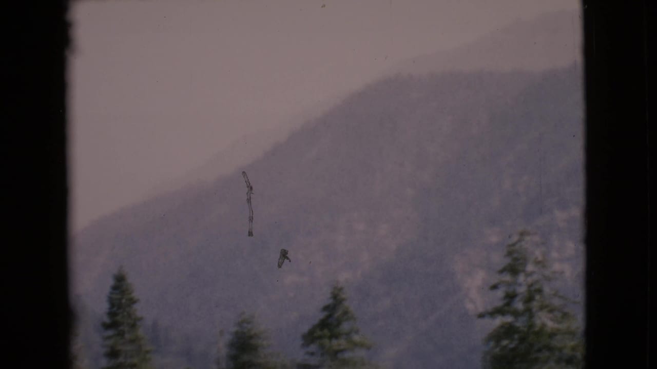 1968 San Diego County home-movie frame with purple-tinged mountain haze, evergreen treetops, dark frame edges, and small film scratches.