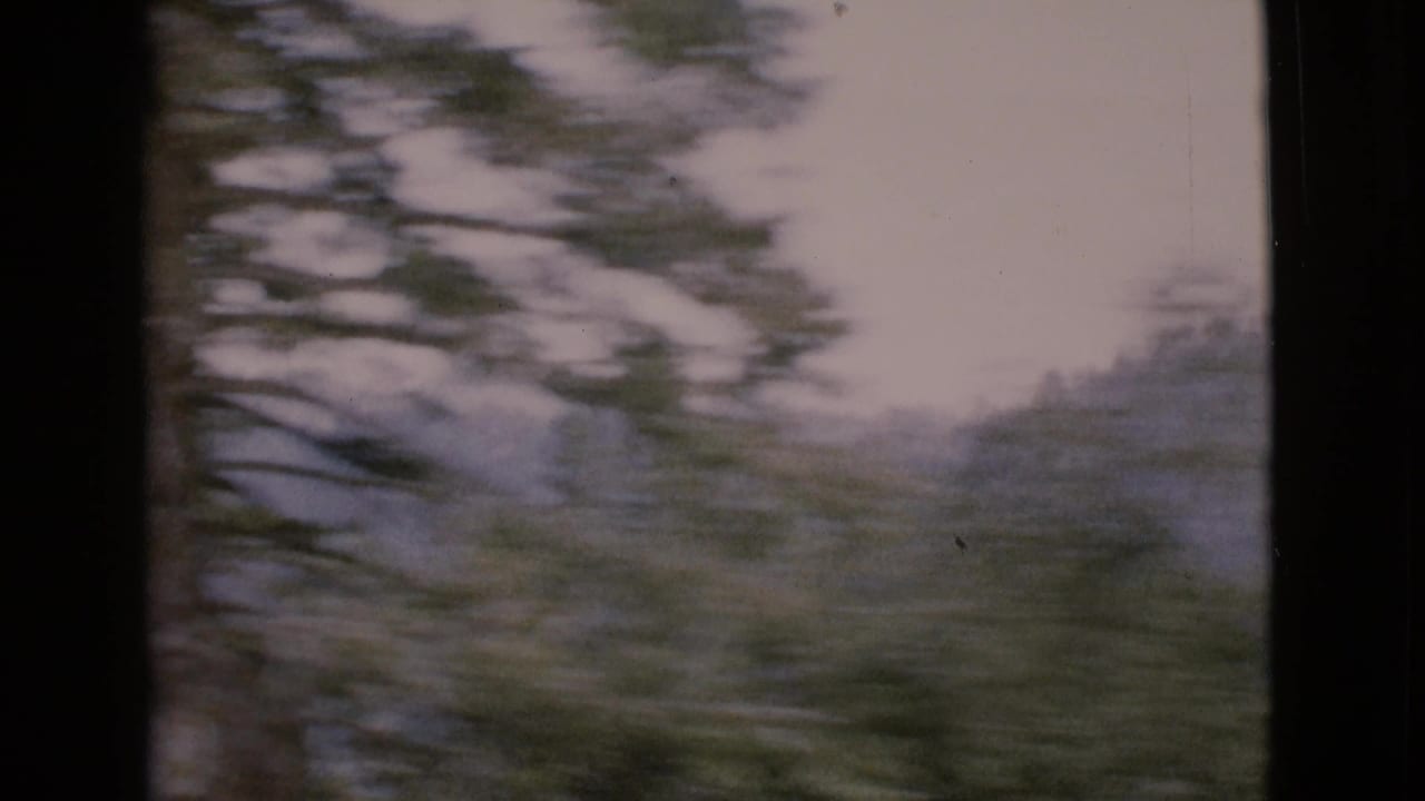 Blurred roadside trees seen through a dark vehicle window with hazy hills beyond.
