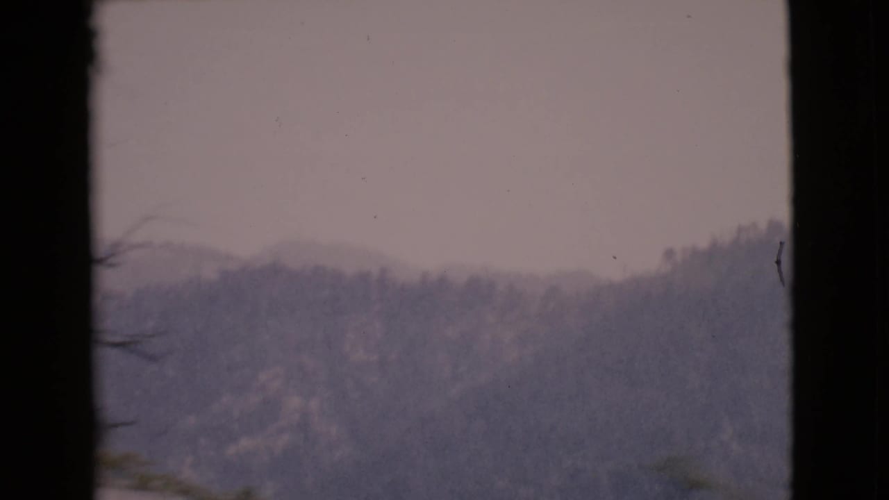Distant tree-covered ridgeline framed by dark vertical window edges under a pale sky.